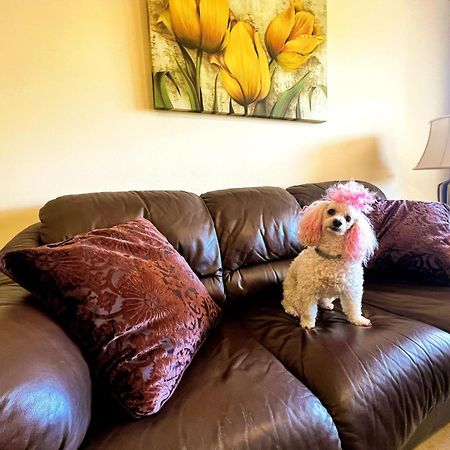 Beautiful Apartment With Pools, Playground And Paddle Tennis - Family Friendly And Near Vithas Hospital - Free Parking In Garage 베날마데나코스타 외부 사진