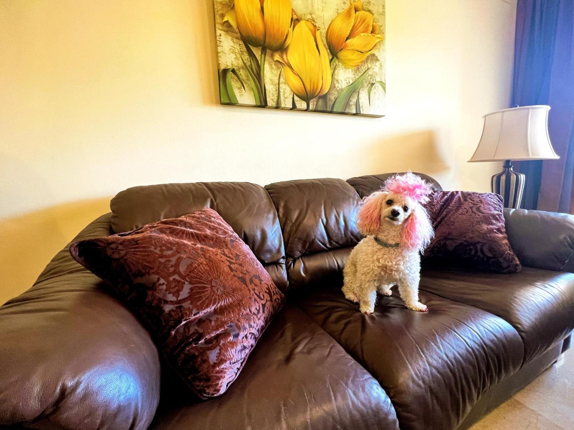 Beautiful Apartment With Pools, Playground And Paddle Tennis - Family Friendly And Near Vithas Hospital - Free Parking In Garage 베날마데나코스타 외부 사진